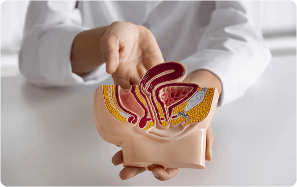 Image du cancer de la prostate