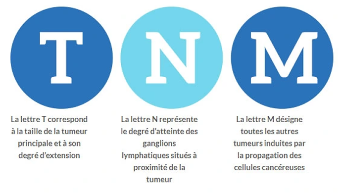 Systeme de Classification TNM